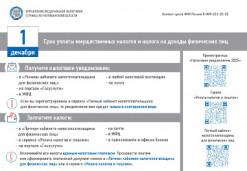 Кампания по уплате имущественных налогов за 2024 год»