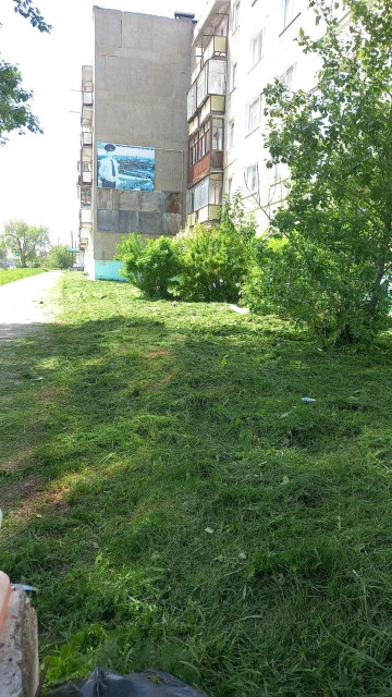 Отчёт за неделю