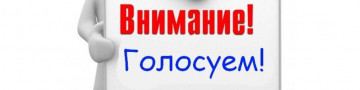 Голосование за инициативные проекты