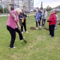 Участие жителей в благоустройстве дворовой территории